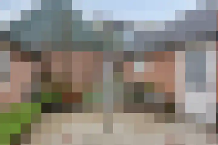 Nieuwendijk 29 Wijhe thumbnail 32