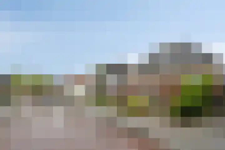 Nieuwendijk 29 Wijhe thumbnail 35