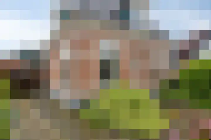 Nieuwendijk 29 Wijhe thumbnail 36