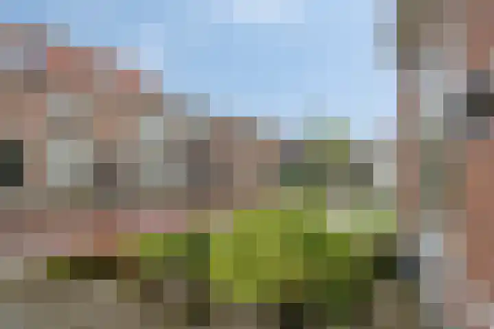 Nieuwendijk 29 Wijhe thumbnail 37