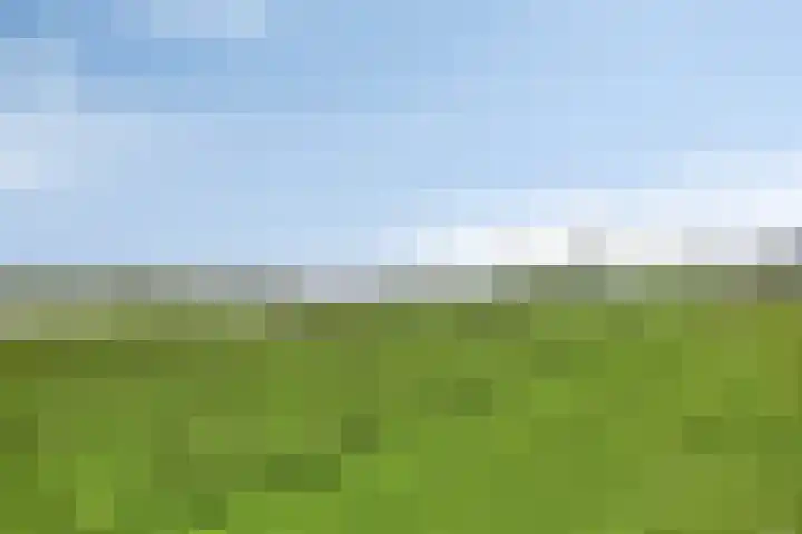 Nieuwendijk 29 Wijhe thumbnail 39