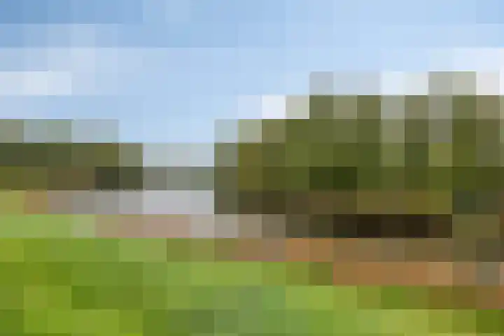 Nieuwendijk 29 Wijhe thumbnail 40