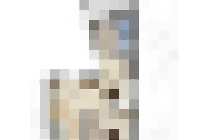 Nieuwendijk 29 Wijhe thumbnail 41