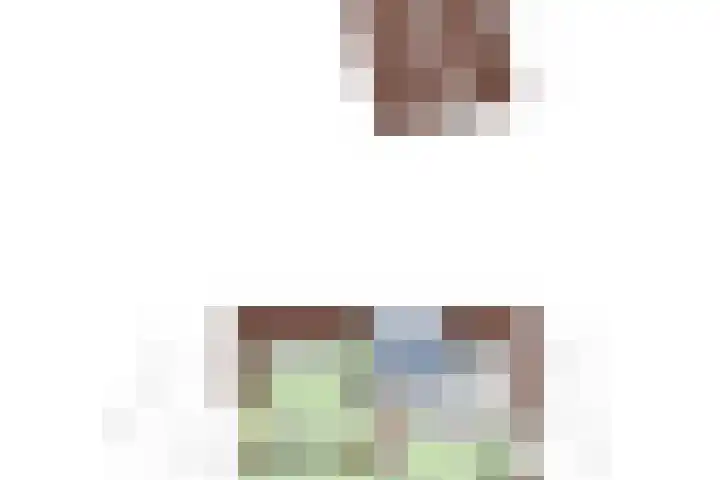 Nieuwendijk 29 Wijhe thumbnail 42