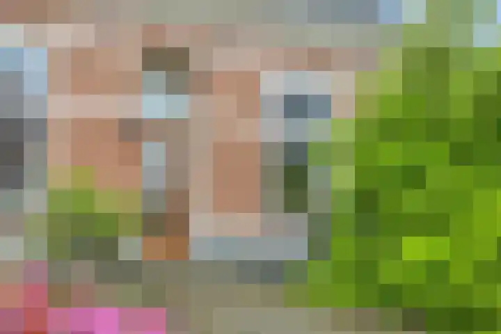 Nieuwendijk 29 Wijhe thumbnail 5