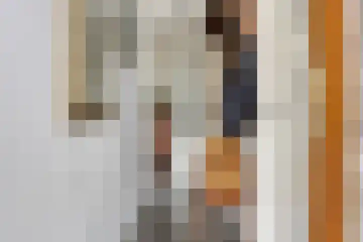 Nieuwendijk 29 Wijhe thumbnail 6