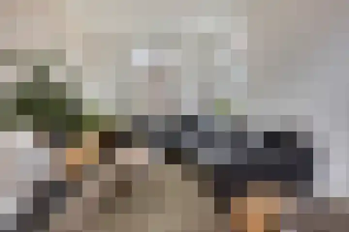 Nieuwendijk 29 Wijhe thumbnail 7