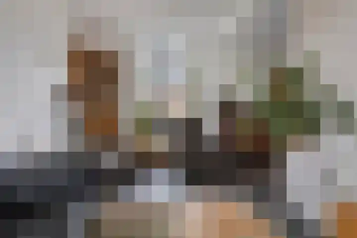 Nieuwendijk 29 Wijhe thumbnail 8