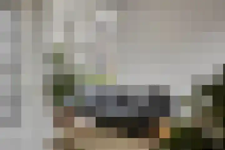 Nieuwendijk 29 Wijhe thumbnail 9