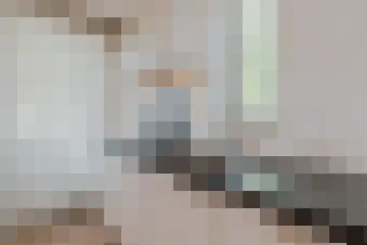 Nieuwendijk 3 Geldrop thumbnail 15