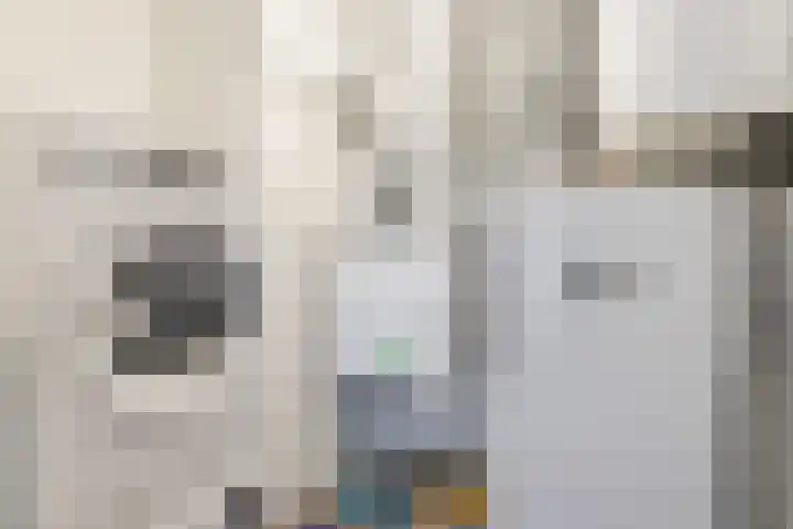 Nieuwendijk 3 Geldrop thumbnail 24