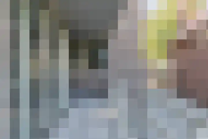 Nieuwendijk 3 Geldrop thumbnail 29