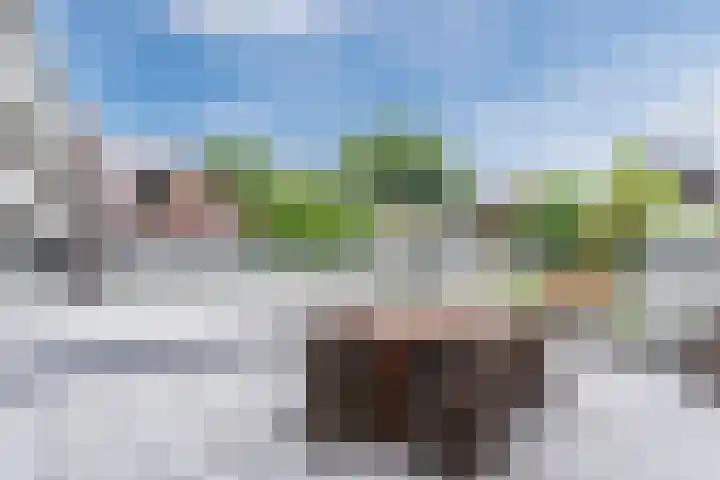 Nieuwendijk 3 Geldrop thumbnail 34