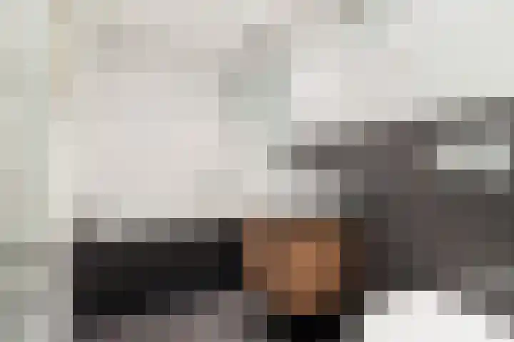 Nieuwendijk 31 Woerden thumbnail 25