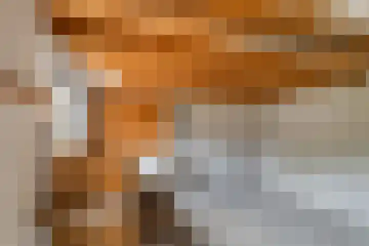 Nieuwendijk 31 Woerden thumbnail 32