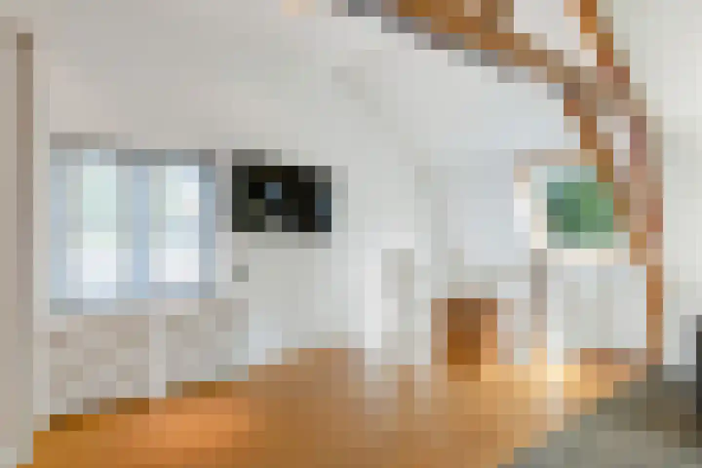 Nieuwendijk 32 Geldrop thumbnail 14