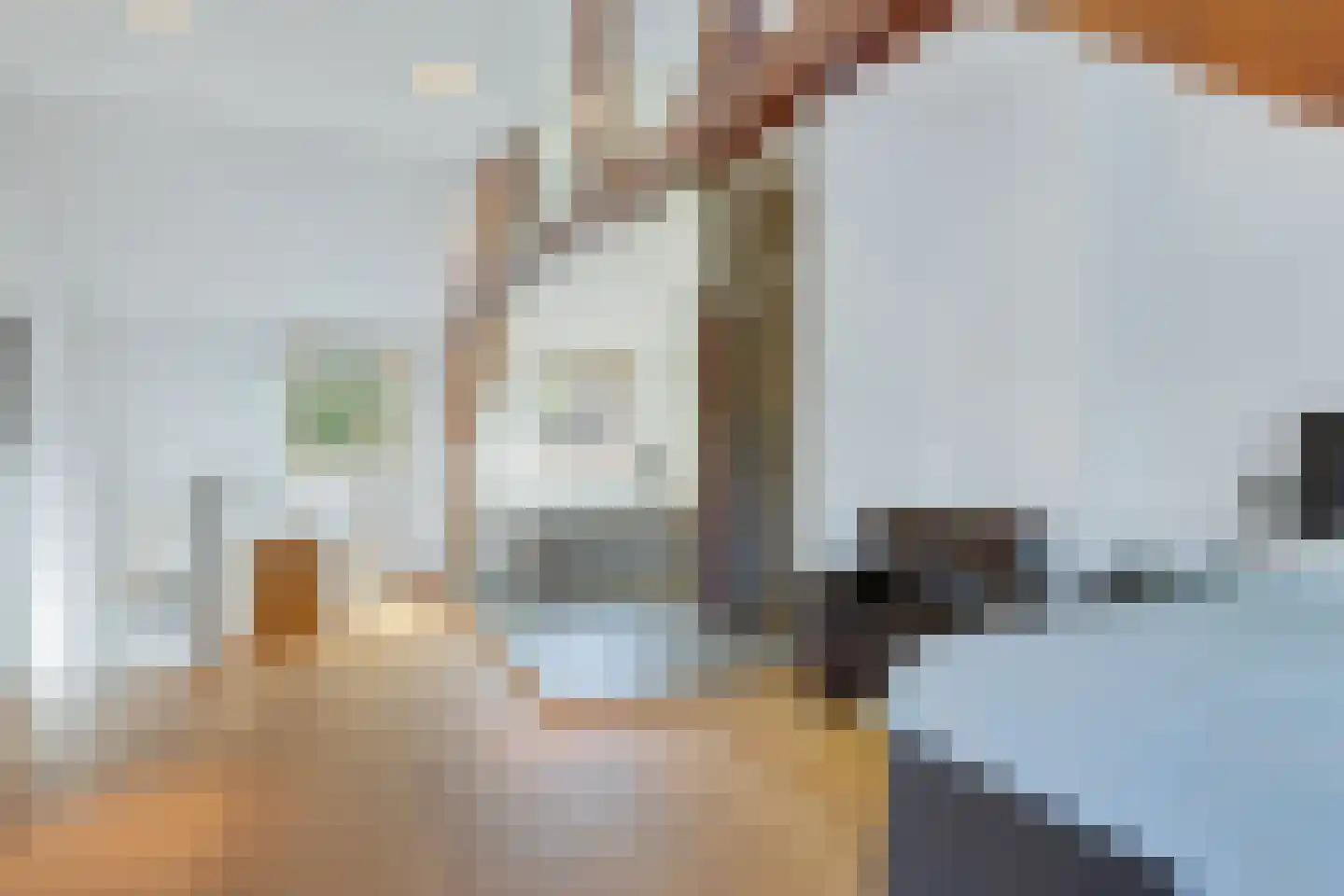 Nieuwendijk 32 Geldrop thumbnail 15