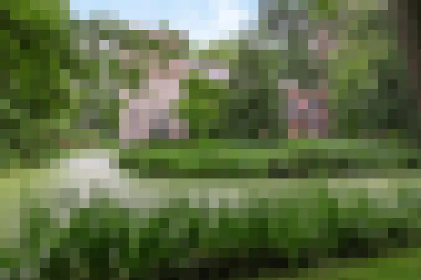 Nieuwendijk 32 Geldrop thumbnail 26
