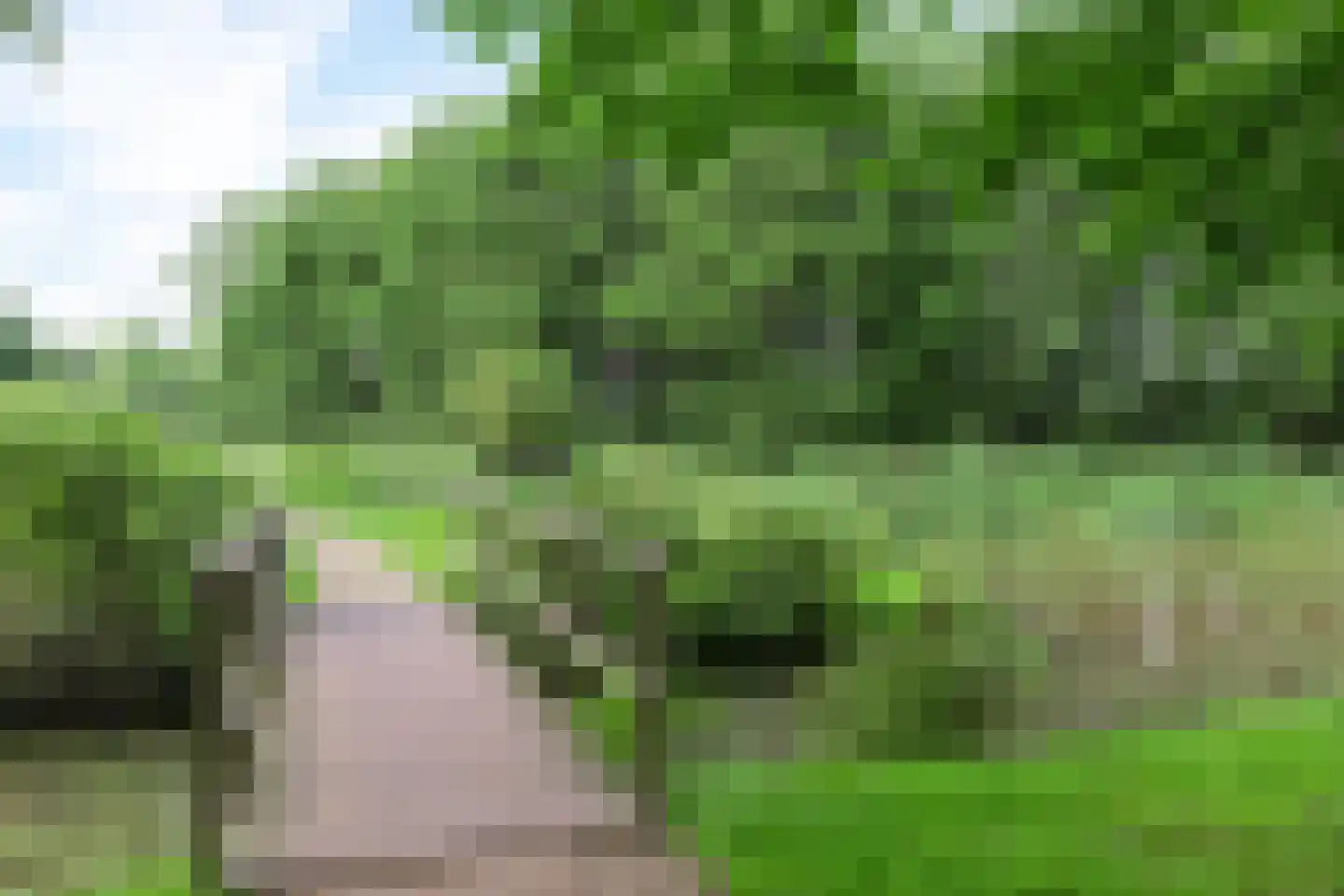 Nieuwendijk 32 Geldrop thumbnail 27