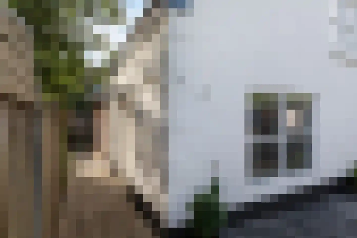 Nieuwendijk 32 Geldrop thumbnail 6