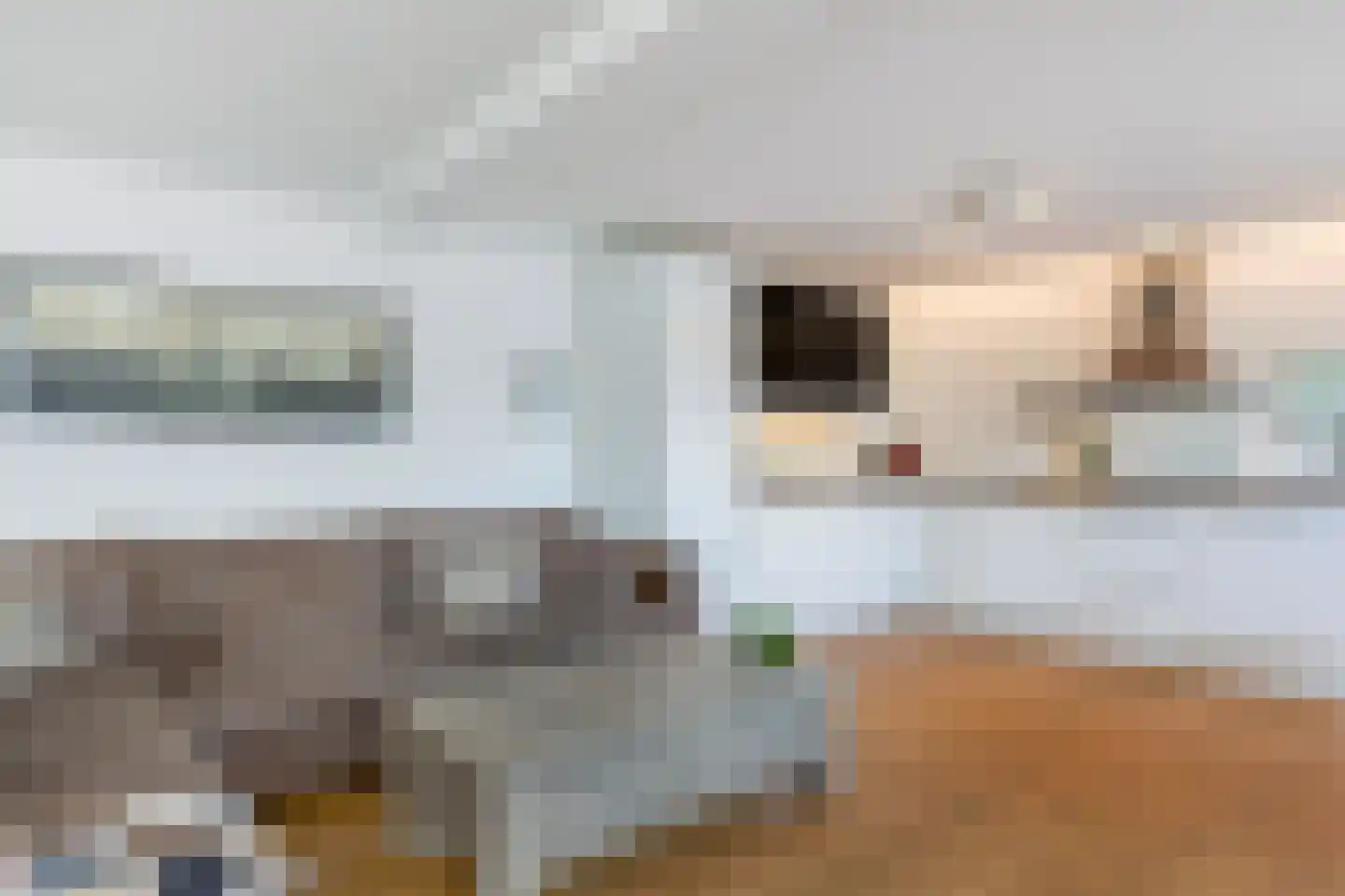 Nieuwendijk 32 Geldrop thumbnail 8