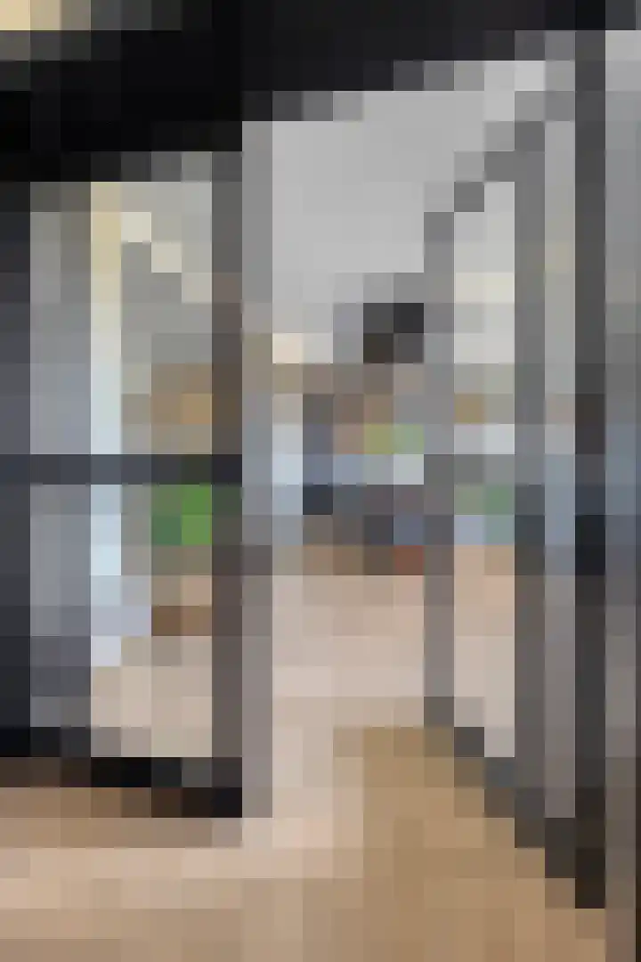 Nieuwendijk 4 Wemeldinge thumbnail 10