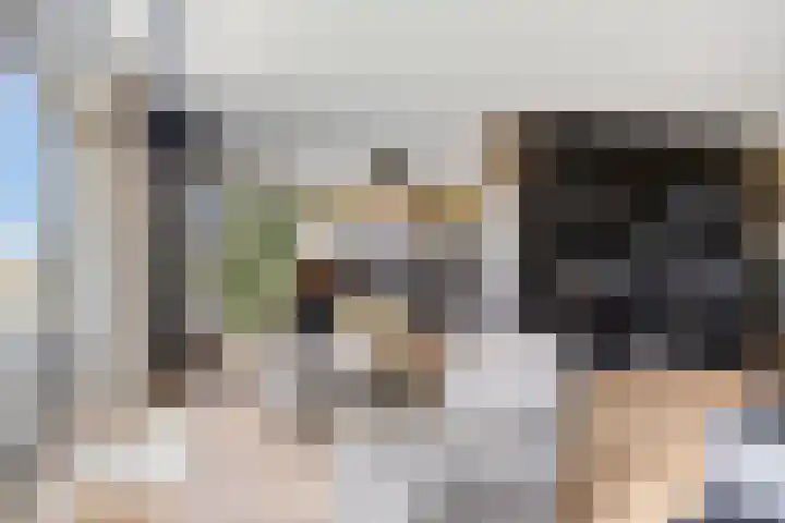 Nieuwendijk 4 Wemeldinge thumbnail 14