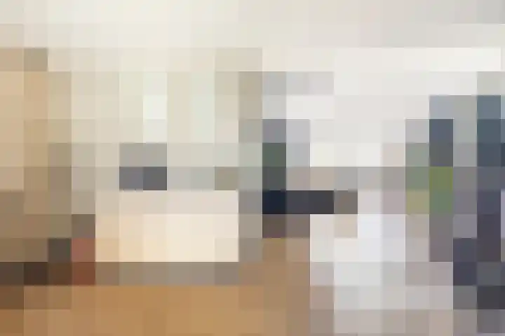 Nieuwendijk 4 Wemeldinge thumbnail 19