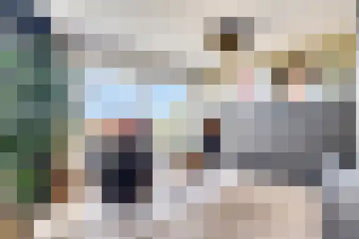 Nieuwendijk 4 Wemeldinge thumbnail 20
