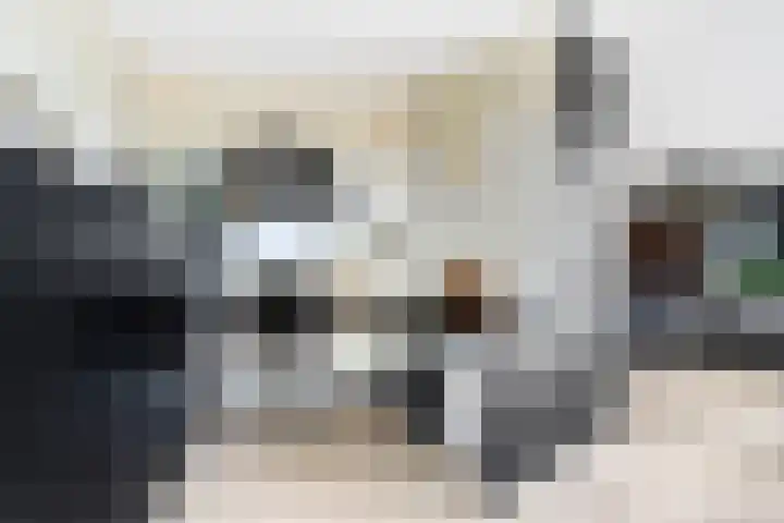 Nieuwendijk 4 Wemeldinge thumbnail 21