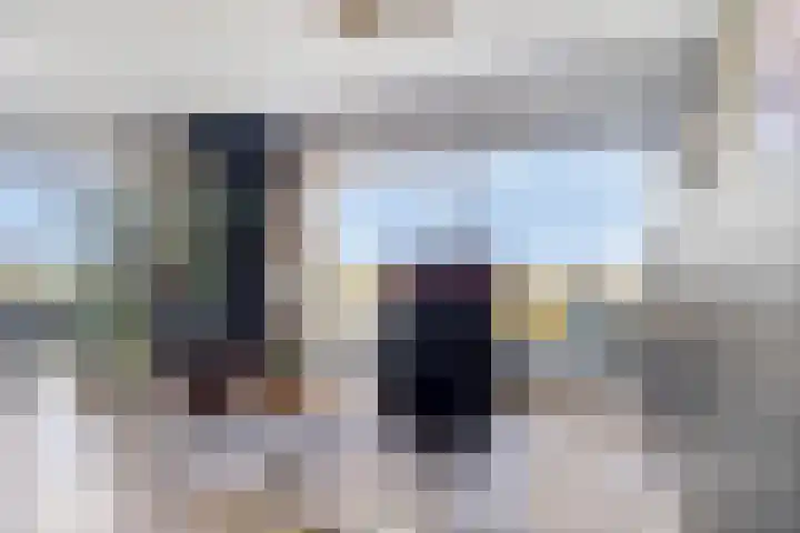 Nieuwendijk 4 Wemeldinge thumbnail 22