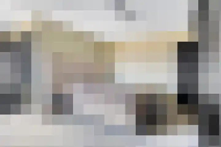 Nieuwendijk 4 Wemeldinge thumbnail 24
