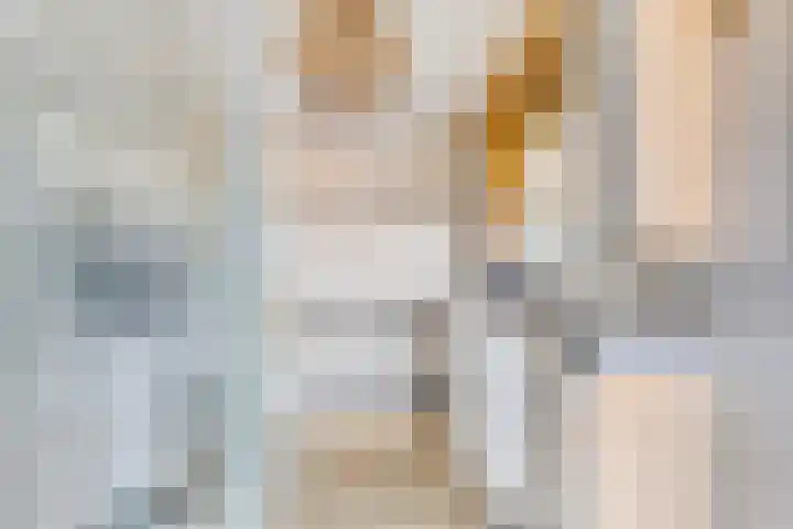 Nieuwendijk 4 Wemeldinge thumbnail 25