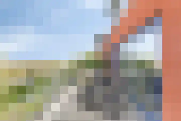 Nieuwendijk 4 Wemeldinge thumbnail 28