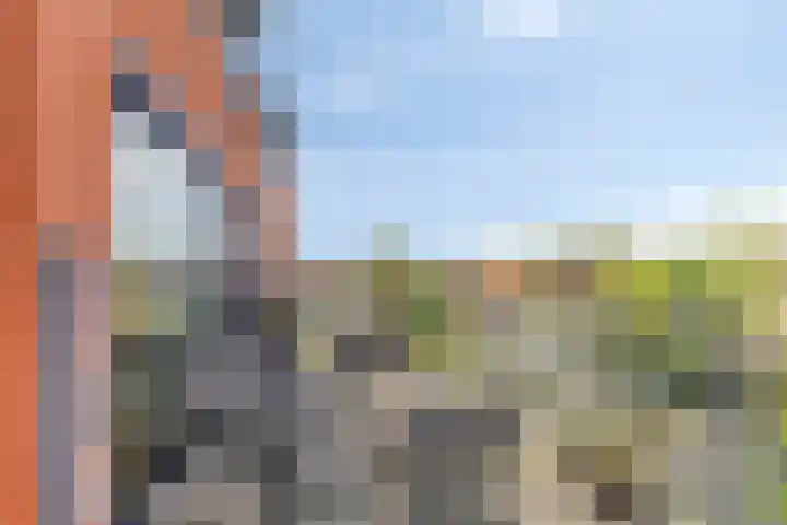 Nieuwendijk 4 Wemeldinge thumbnail 30