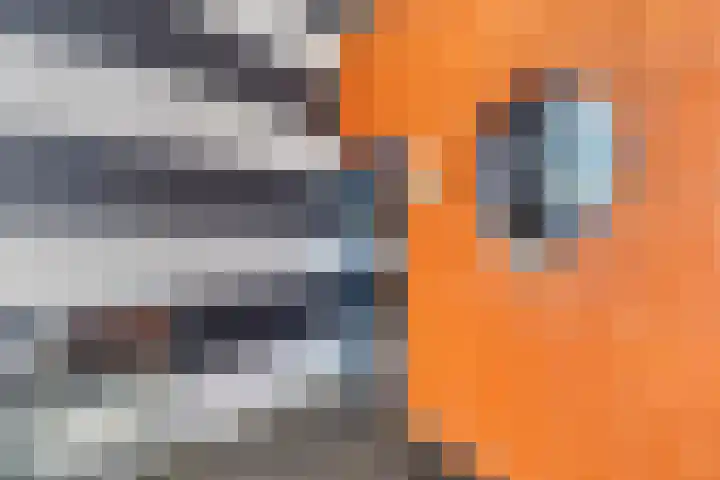 Nieuwendijk 4 Wemeldinge thumbnail 32