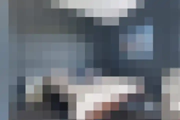Nieuwendijk 4 Wemeldinge thumbnail 36