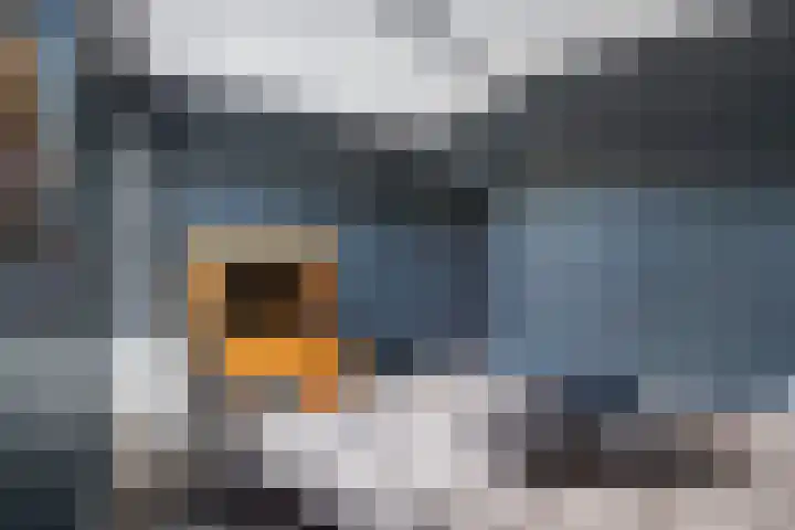 Nieuwendijk 4 Wemeldinge thumbnail 37