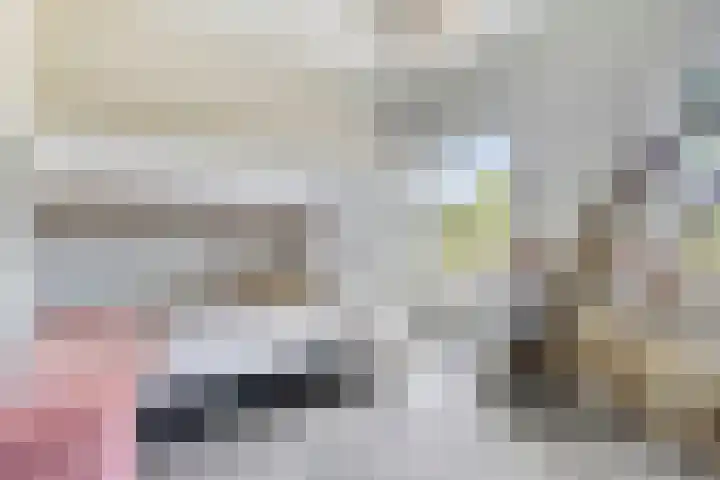Nieuwendijk 4 Wemeldinge thumbnail 40