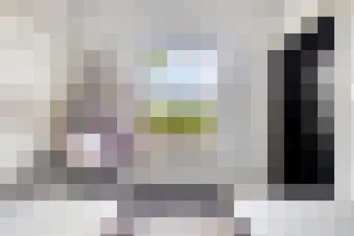 Nieuwendijk 4 Wemeldinge thumbnail 43