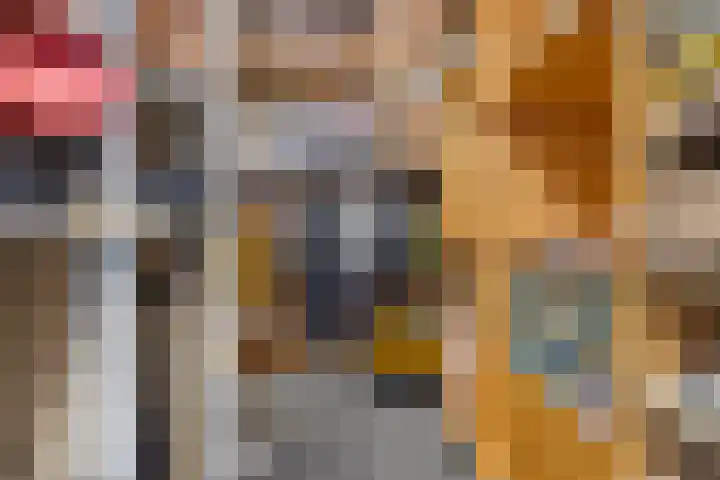 Nieuwendijk 4 Wemeldinge thumbnail 45