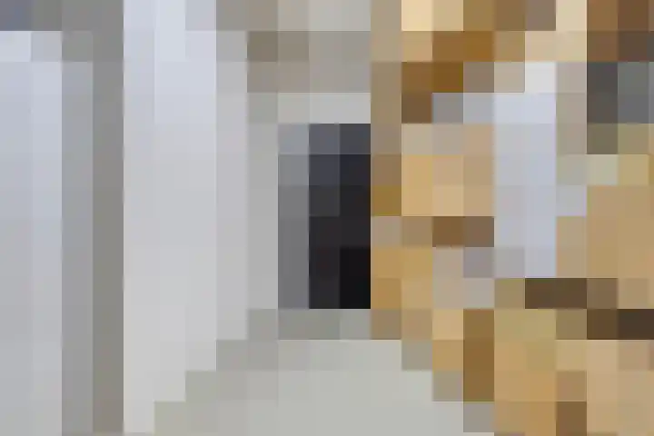 Nieuwendijk 4 Wemeldinge thumbnail 46