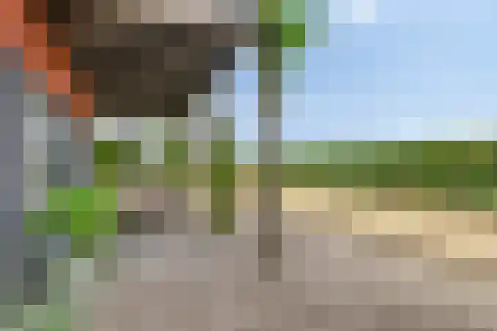 Nieuwendijk 4 Wemeldinge thumbnail 48