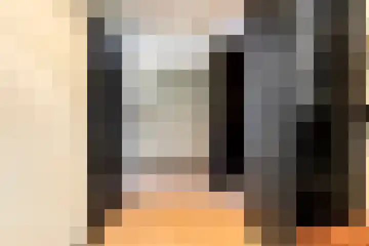 Nieuwendijk 4 Wemeldinge thumbnail 5