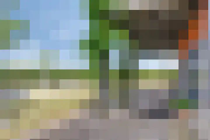 Nieuwendijk 4 Wemeldinge thumbnail 50