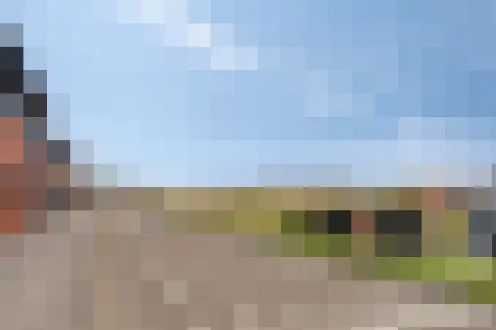 Nieuwendijk 4 Wemeldinge thumbnail 57