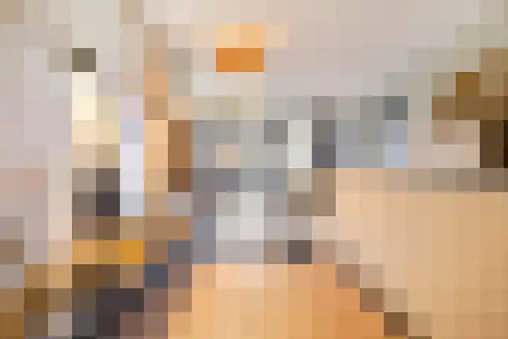 Nieuwendijk 4 Wemeldinge thumbnail 8