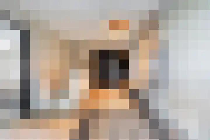 Nieuwendijk 4 Wemeldinge thumbnail 9
