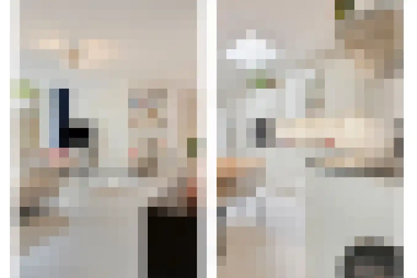 Nieuwendijk 42 B Geldrop thumbnail 14