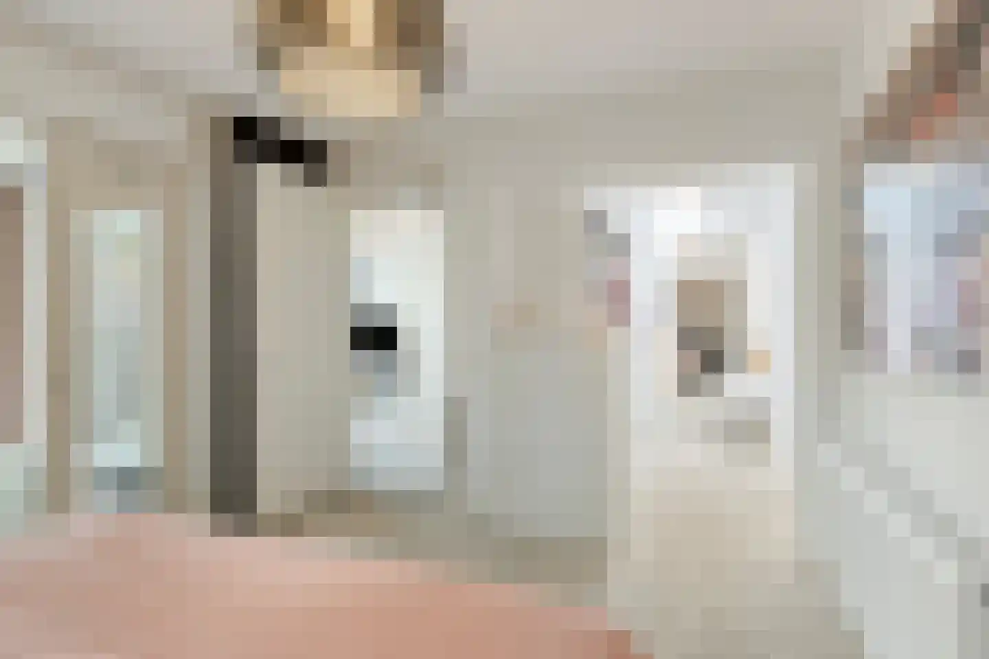 Nieuwendijk 42 B Geldrop thumbnail 17